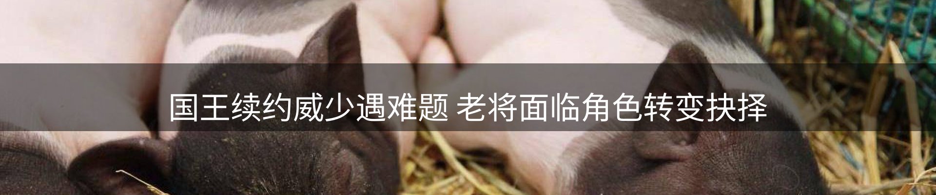 内页banner